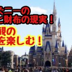 ディズニーの魔法と財布の現実！価値観の違いを楽しむ！