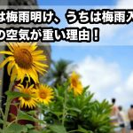 沖縄は梅雨明け、うちは梅雨入り？会社の空気が重い理由