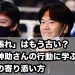 「頑張れ」はもう古い？島田紳助さんの行動に学ぶ、社長の寄り添い方