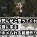 「俺は死んだと思ってくれ」藤川監督に学ぶ、全員がホメられる組織作りの秘密